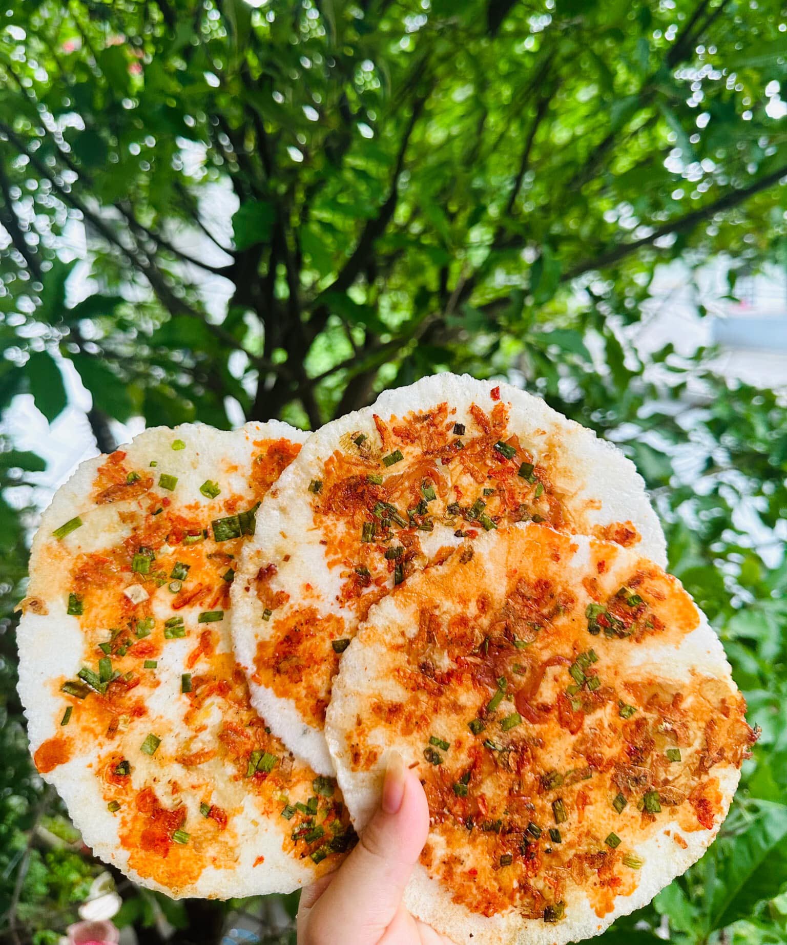 Bánh ép khô Huế