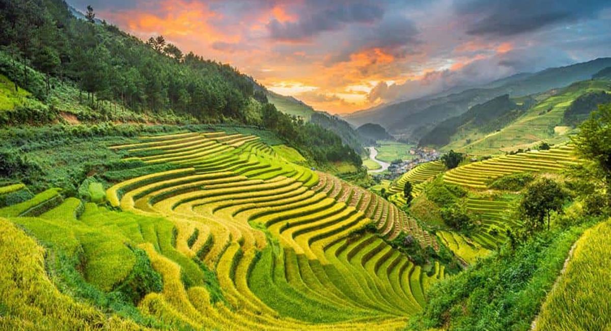 Cánh đồng Mường Than