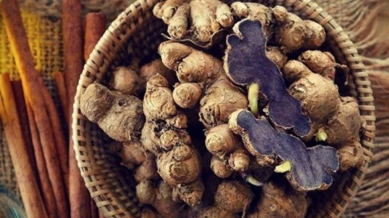 Nghệ đen rừng Sơn La