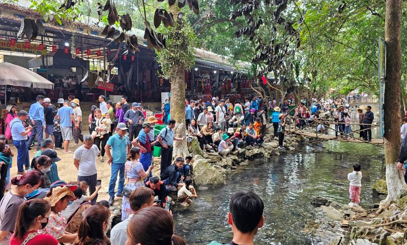 Suối cá thần Cẩm Lương